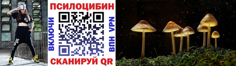 Галлюциногенные грибы прущие грибы  закладки  Кирсанов 